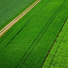 фото "Проселок"