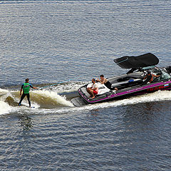 photo "Water swimmers"