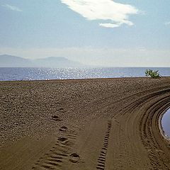 фото "Полдень."