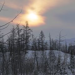 фото "Листая старый диск"