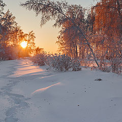 фото "Зимнее утро..."