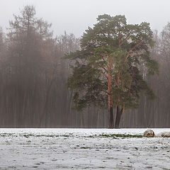 фото "В шоке от такой красоты...)"