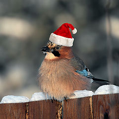 photo "Happy holidays, friends!"