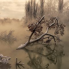 фото "Зимнее утро"