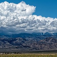 photo "Spring Mountains  NV USA"