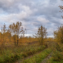 фото "Осень-сентябрь"