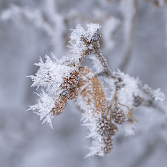 photo "Скоро лето"