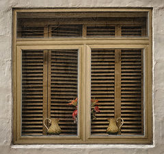 photo "Window"