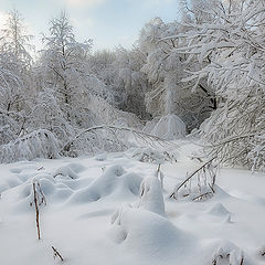 фото "Зимняя сказка"