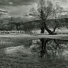 фото ".. РЕИНКАРНА́ЦИЯ.."