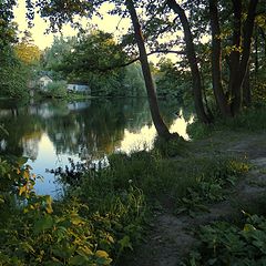 photo "Path along the pond"