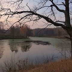 photo "Path along the pond (2)"