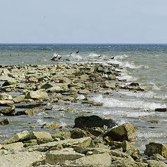 photo "Self-isolation. Old Dam in Azeri. Estonia"