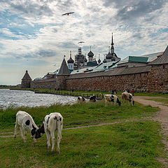 фото "На Соловках"