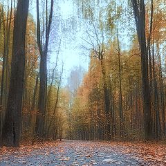 фото "Осенний пейзаж"