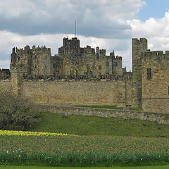 фото "Alnwick castle..."