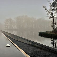 фото "Cycling through Water in Bokrijk"