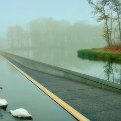 фото "Cycling through Water in Bokrijk 2"