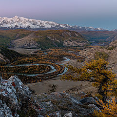 фото "Курайская степь"