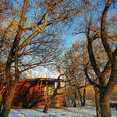 фото "В старом  парке"