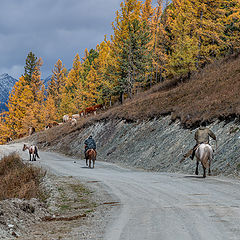 фото "Алтай"