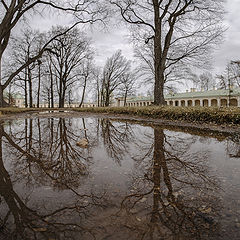 photo "Ораниенбаум. Весна"