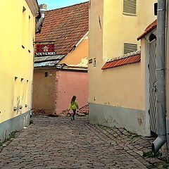 photo "In the old alleyway"