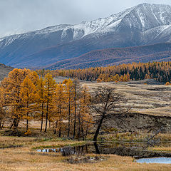 фото "Осенний пейзаж"