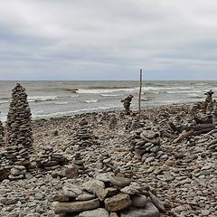 photo "Survivors of the storm"