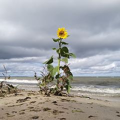 photo "almost autumn romantic"