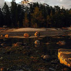 photo "Evening, low tide, balanus ..."