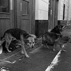 photo "станция Таганская"