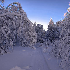 фото "Зимняя дорога"