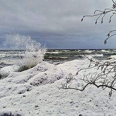 photo "Northern winds."