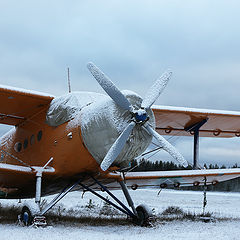 фото "An-2"