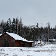 фото "Kytäjä"