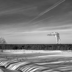 фото "Полосатая весна..."