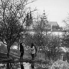 фото "Пара на Петршине"