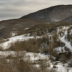 photo "В Южной Осетии"