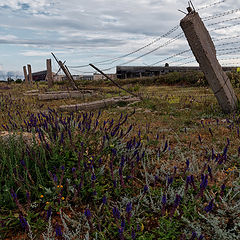 фото "Запретная зона..."