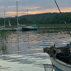 фото "Первая - моя"