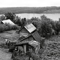 фото "Огороды на Волге (из альбома "Письма из Плёса")"