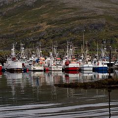 фото "В Skipsfjord"