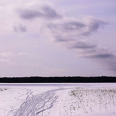 фото "сиреневый закат"