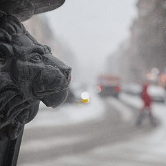 фото "Наблюдатель..."