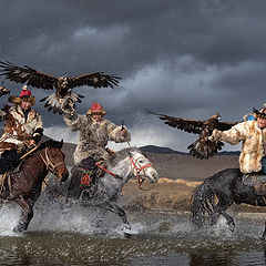 фото "Рассекая водную гладь"