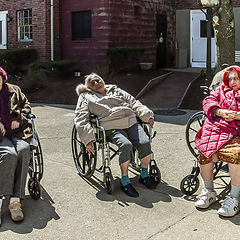 photo "Old age as it is 2"