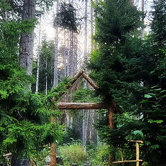 photo "Entrance to the enchanted forest"