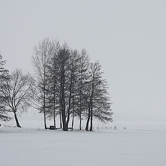 фото "Зимняя прогулка по озеру Туусула"