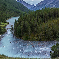 фото "Кучерла"